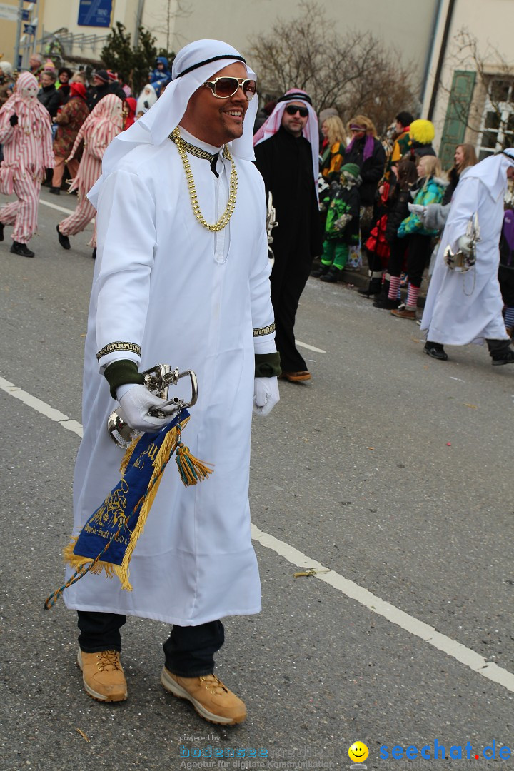 Rosenmontagsumzug: Gottmadingen am Bodensee, 11.02.2013