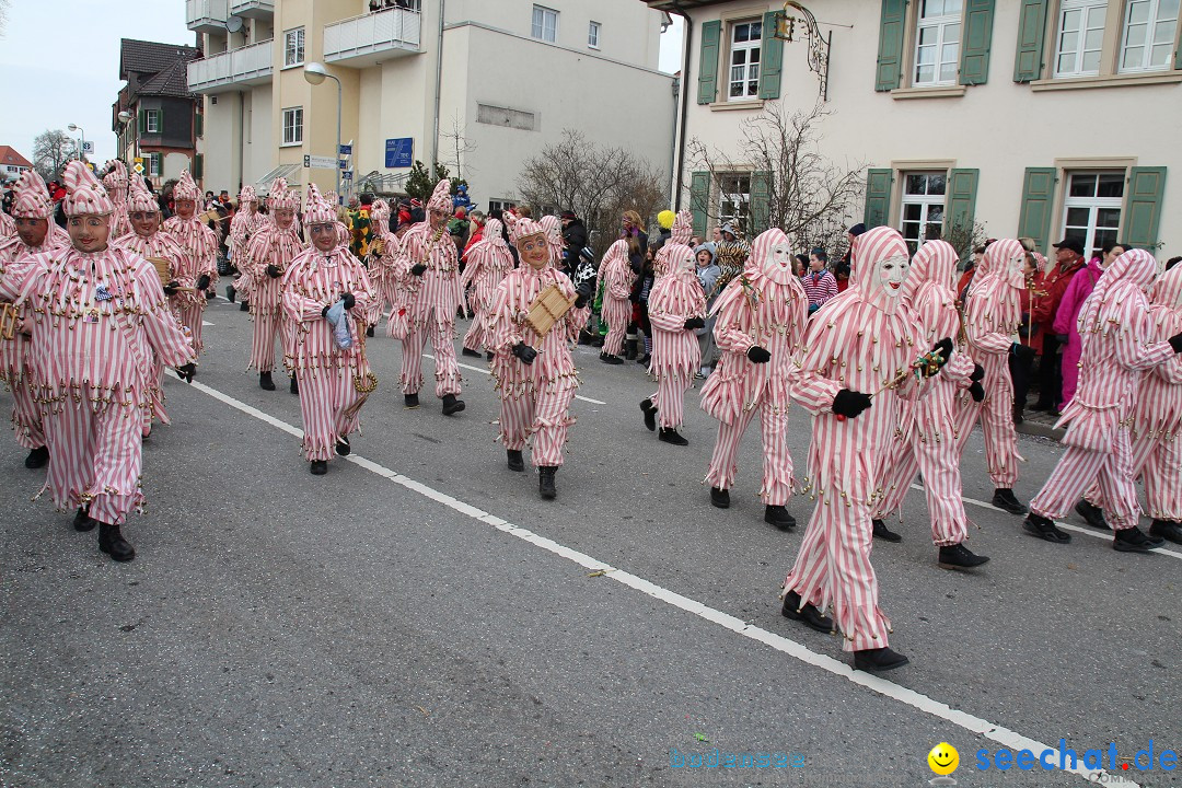 Rosenmontagsumzug: Gottmadingen am Bodensee, 11.02.2013