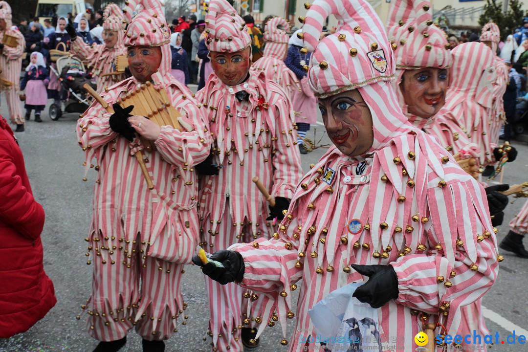 Rosenmontagsumzug: Gottmadingen am Bodensee, 11.02.2013