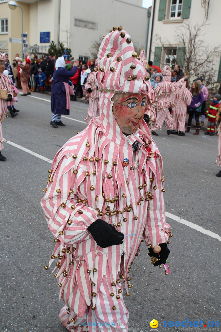 Rosenmontagsumzug: Gottmadingen am Bodensee, 11.02.2013