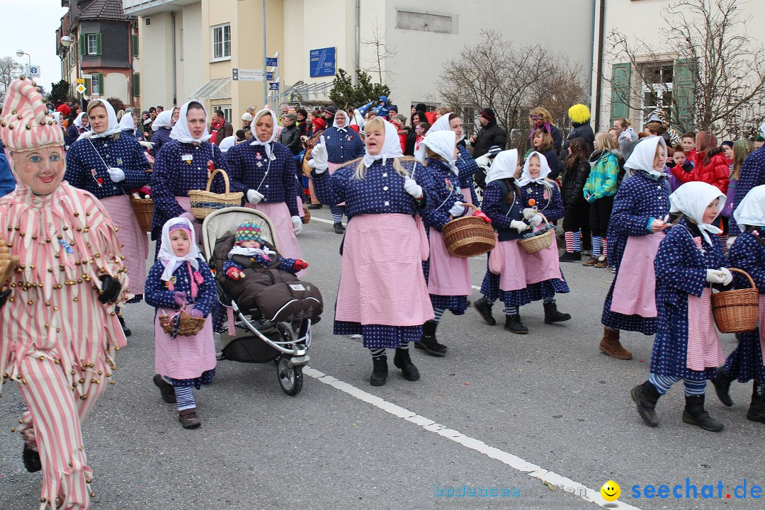 Rosenmontagsumzug: Gottmadingen am Bodensee, 11.02.2013