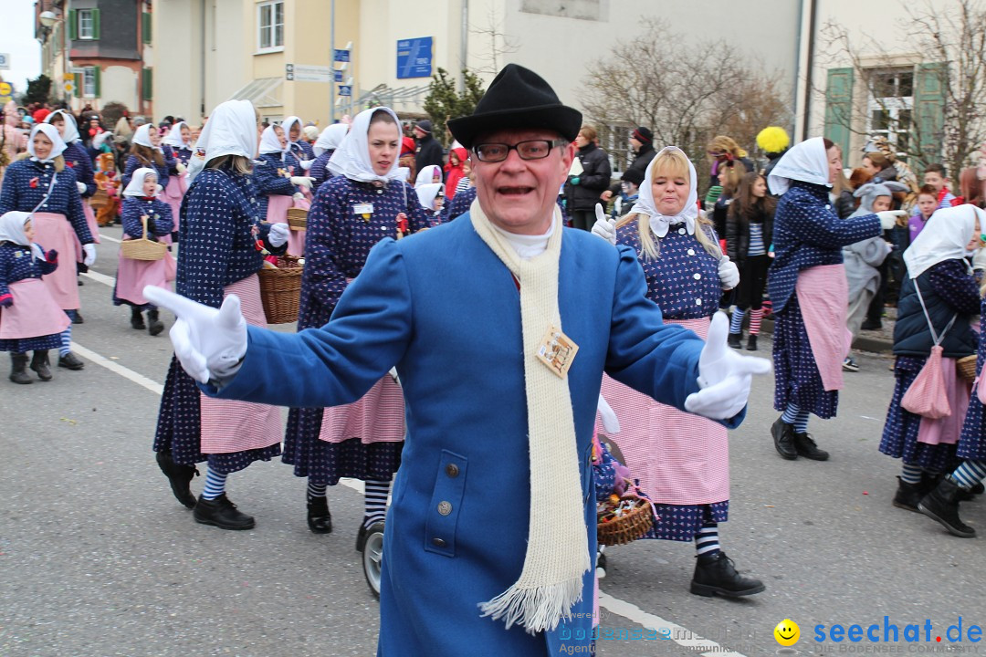 Rosenmontagsumzug: Gottmadingen am Bodensee, 11.02.2013