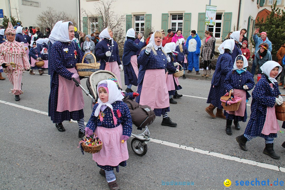 Rosenmontagsumzug: Gottmadingen am Bodensee, 11.02.2013