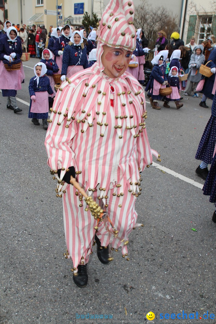 Rosenmontagsumzug: Gottmadingen am Bodensee, 11.02.2013