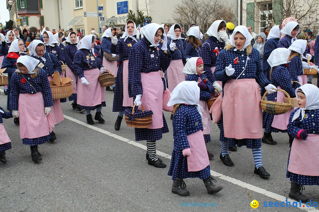 Rosenmontagsumzug: Gottmadingen am Bodensee, 11.02.2013