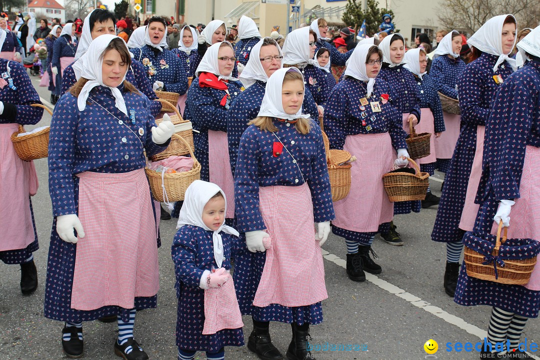 Rosenmontagsumzug: Gottmadingen am Bodensee, 11.02.2013