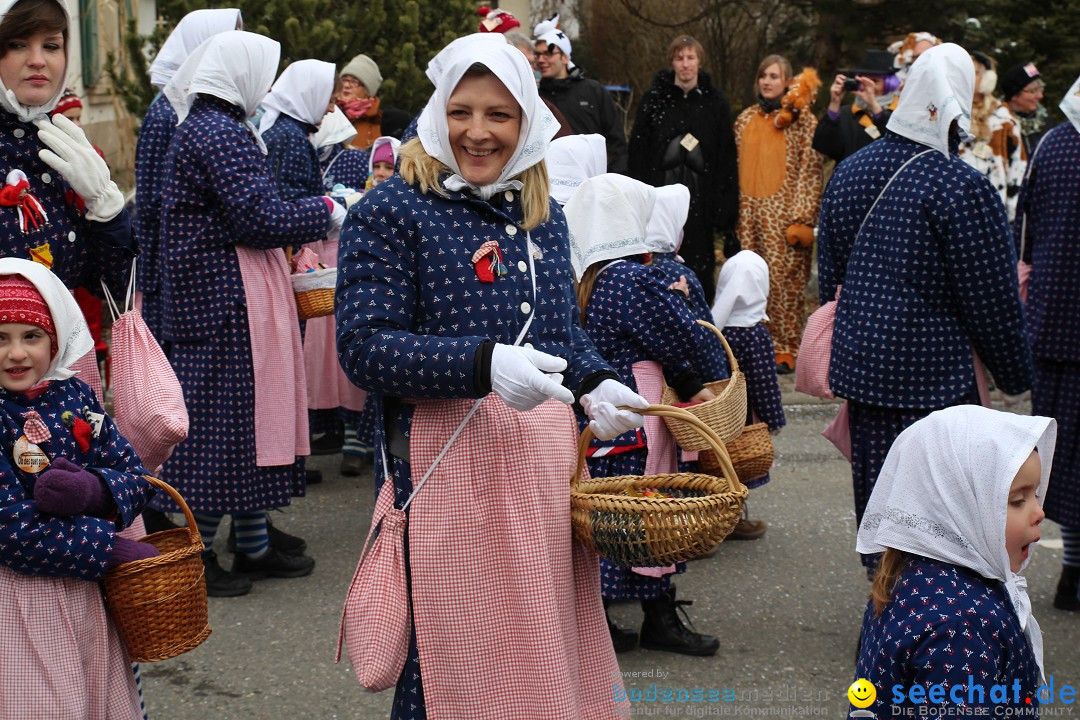 Rosenmontagsumzug: Gottmadingen am Bodensee, 11.02.2013