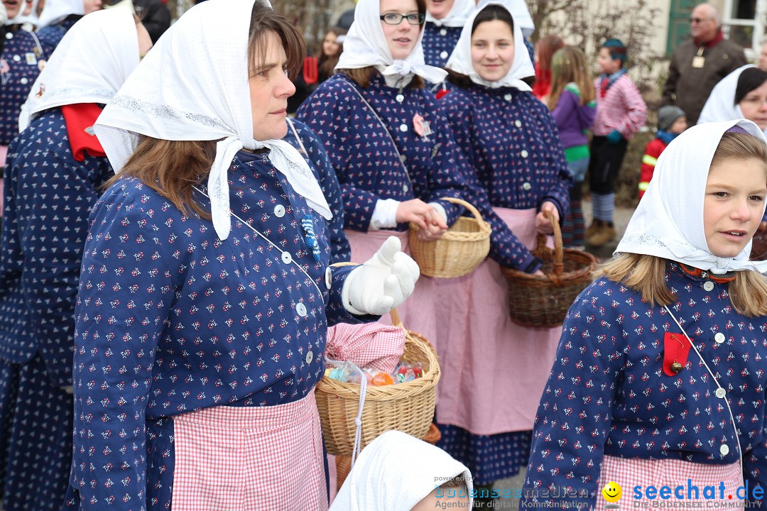 Rosenmontagsumzug: Gottmadingen am Bodensee, 11.02.2013