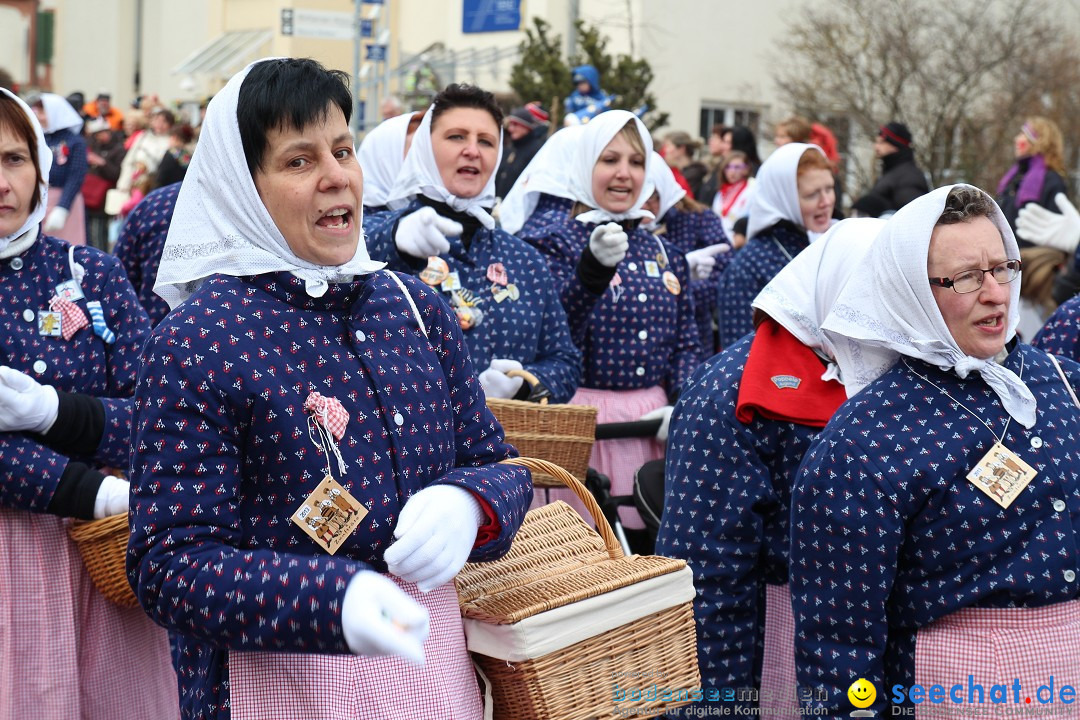 Rosenmontagsumzug: Gottmadingen am Bodensee, 11.02.2013