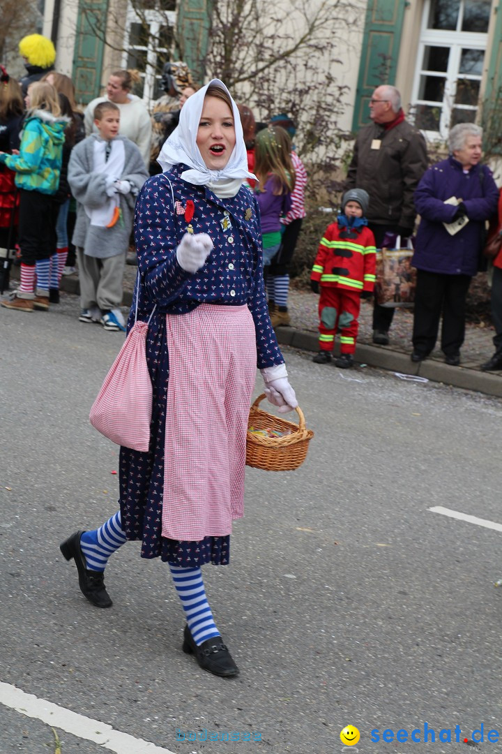 Rosenmontagsumzug: Gottmadingen am Bodensee, 11.02.2013