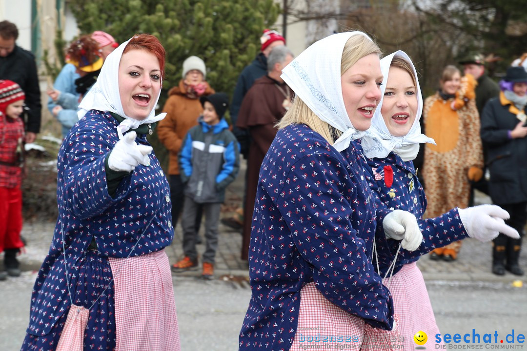 Rosenmontagsumzug: Gottmadingen am Bodensee, 11.02.2013