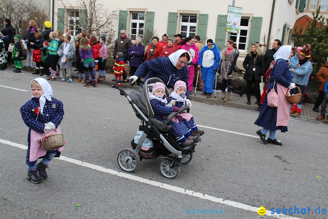 Rosenmontagsumzug: Gottmadingen am Bodensee, 11.02.2013