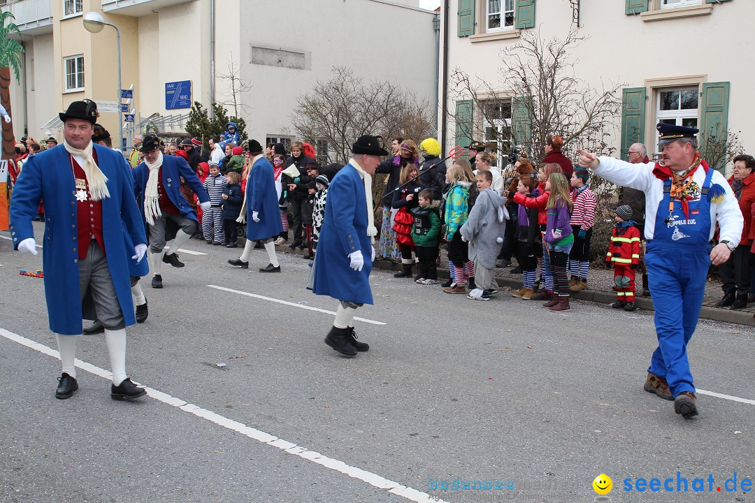 Rosenmontagsumzug: Gottmadingen am Bodensee, 11.02.2013