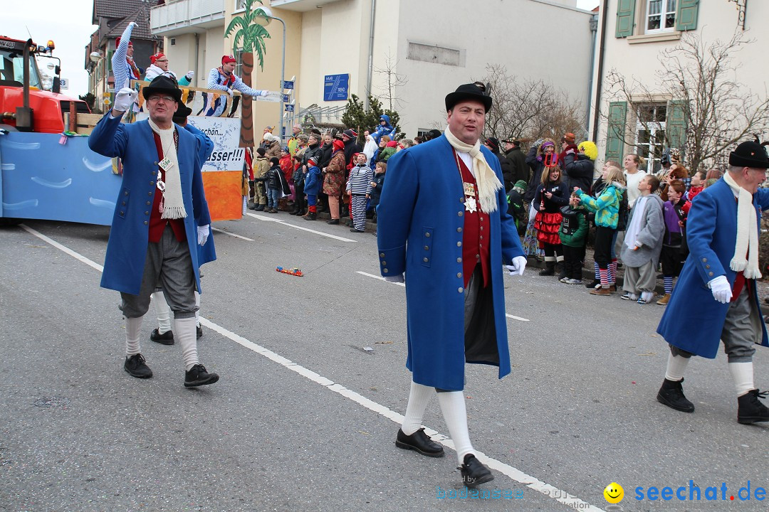 Rosenmontagsumzug: Gottmadingen am Bodensee, 11.02.2013