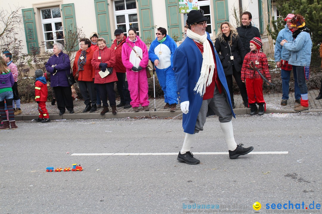 Rosenmontagsumzug: Gottmadingen am Bodensee, 11.02.2013