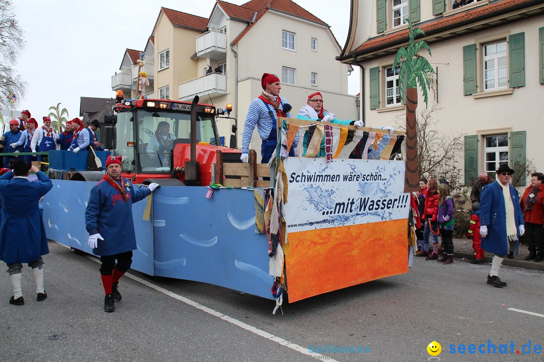 Rosenmontagsumzug: Gottmadingen am Bodensee, 11.02.2013