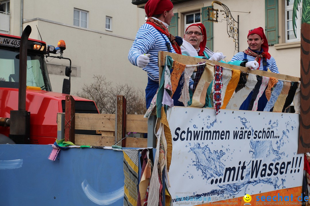 Rosenmontagsumzug: Gottmadingen am Bodensee, 11.02.2013