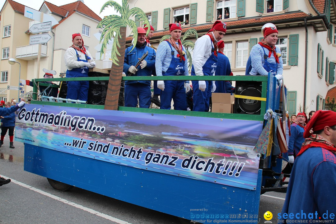 Rosenmontagsumzug: Gottmadingen am Bodensee, 11.02.2013