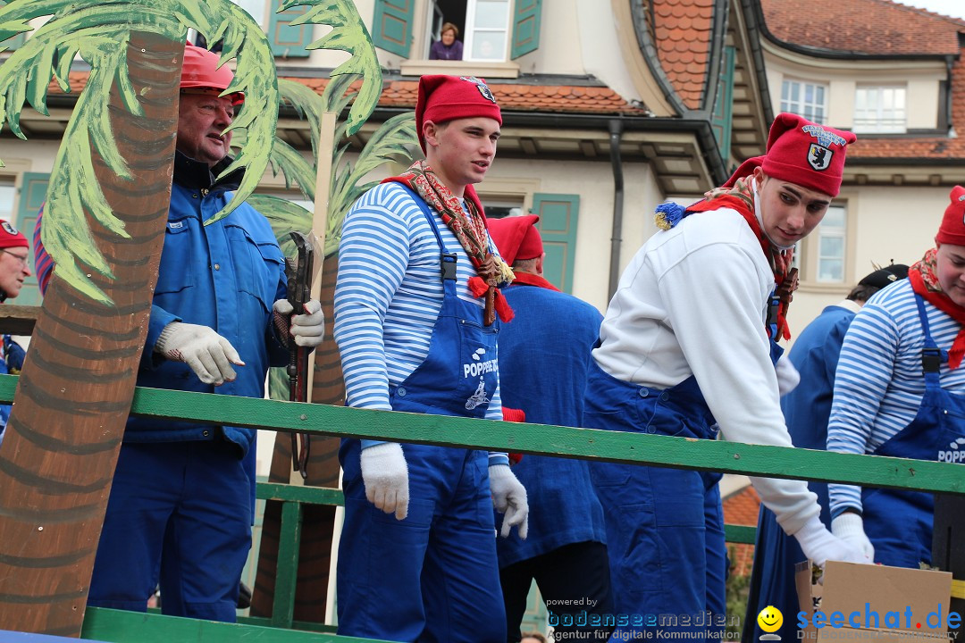 Rosenmontagsumzug: Gottmadingen am Bodensee, 11.02.2013