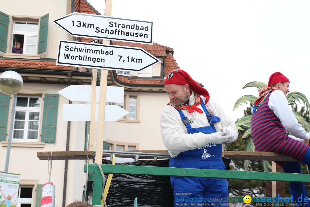 Rosenmontagsumzug: Gottmadingen am Bodensee, 11.02.2013