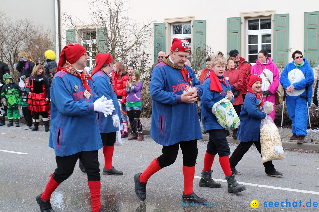 Rosenmontagsumzug: Gottmadingen am Bodensee, 11.02.2013