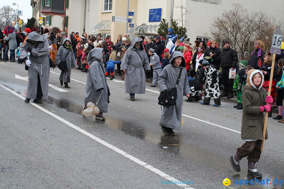 Rosenmontagsumzug: Gottmadingen am Bodensee, 11.02.2013