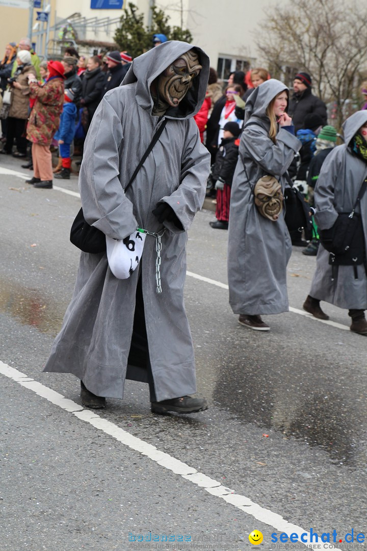 Rosenmontagsumzug: Gottmadingen am Bodensee, 11.02.2013