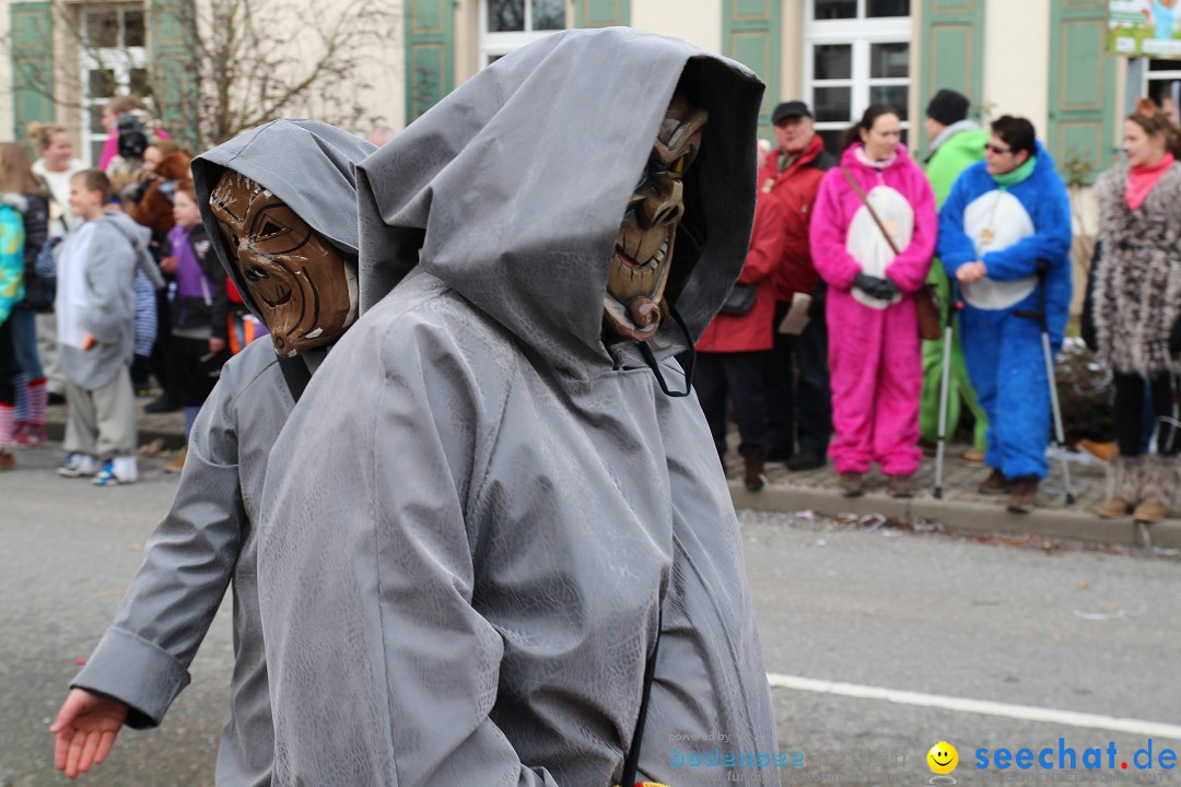 Rosenmontagsumzug: Gottmadingen am Bodensee, 11.02.2013