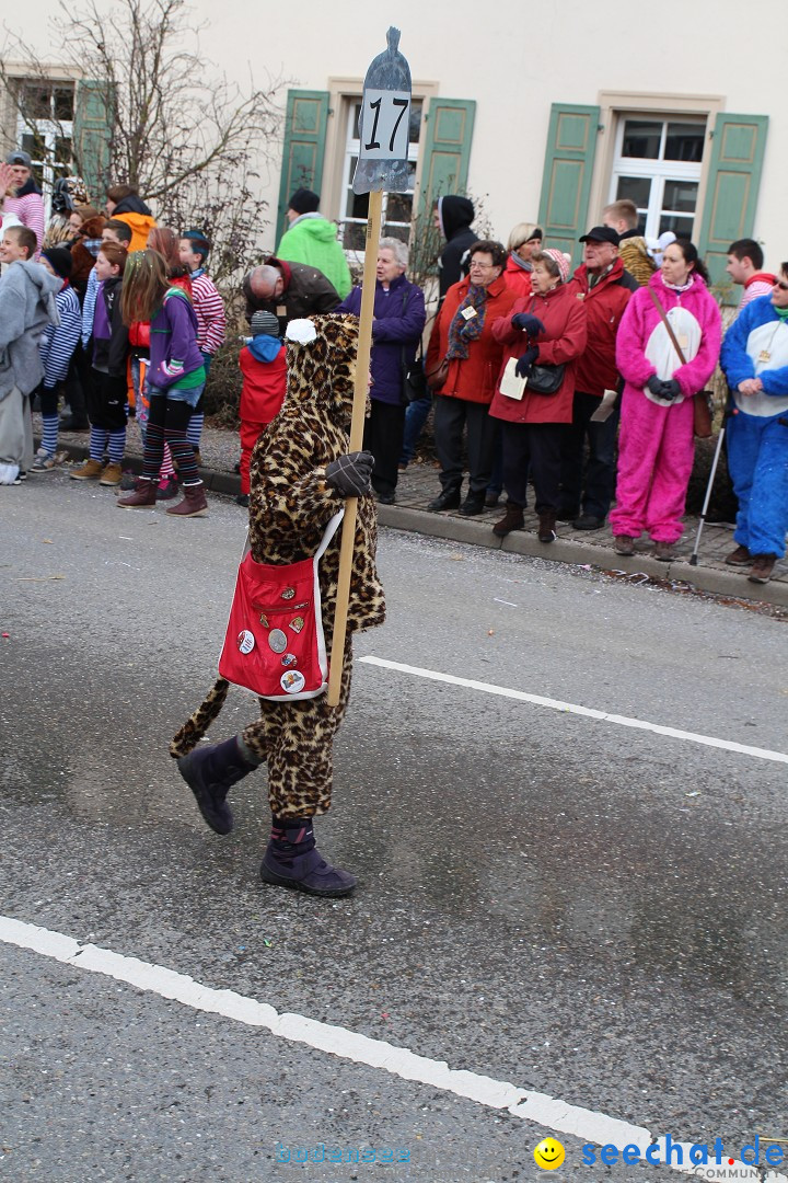 Rosenmontagsumzug: Gottmadingen am Bodensee, 11.02.2013