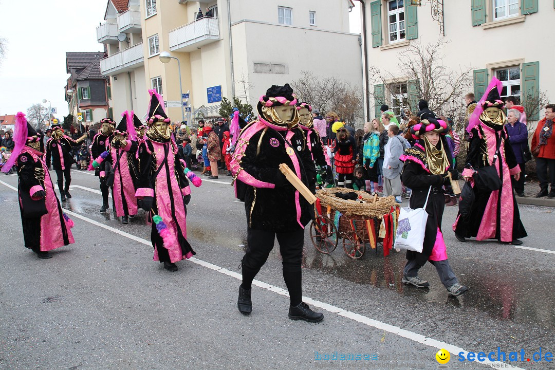 Rosenmontagsumzug: Gottmadingen am Bodensee, 11.02.2013