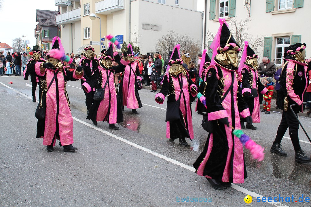 Rosenmontagsumzug: Gottmadingen am Bodensee, 11.02.2013