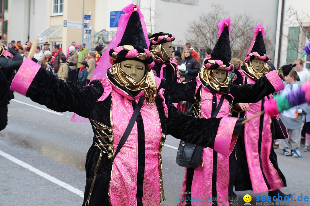 Rosenmontagsumzug: Gottmadingen am Bodensee, 11.02.2013