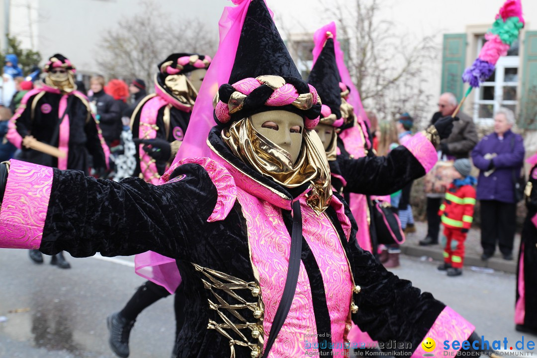 Rosenmontagsumzug: Gottmadingen am Bodensee, 11.02.2013