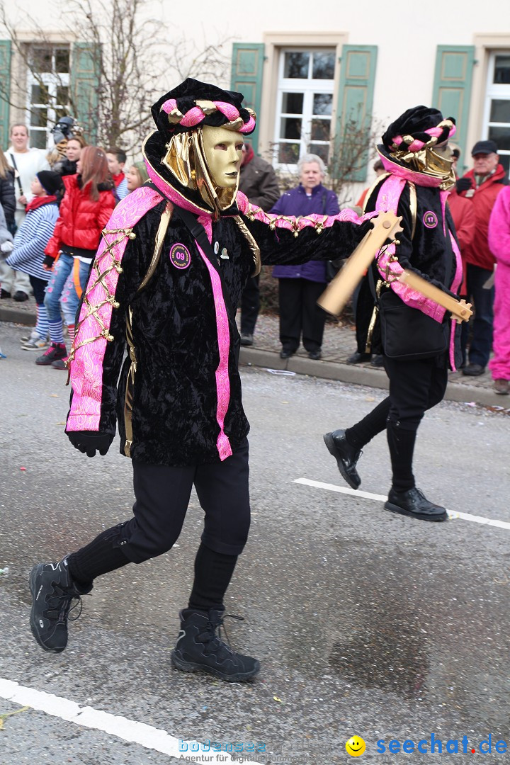 Rosenmontagsumzug: Gottmadingen am Bodensee, 11.02.2013