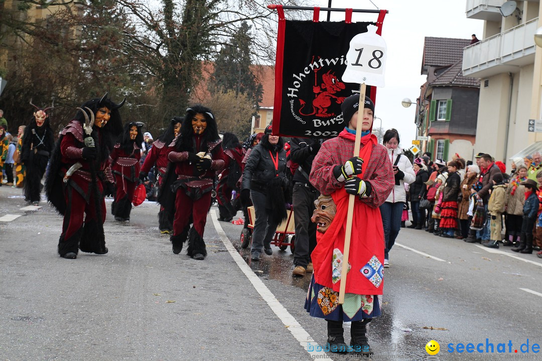 Rosenmontagsumzug: Gottmadingen am Bodensee, 11.02.2013