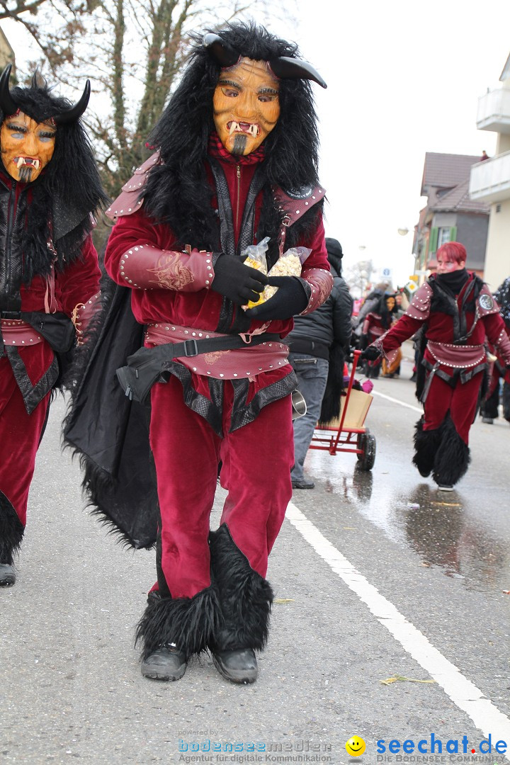 Rosenmontagsumzug: Gottmadingen am Bodensee, 11.02.2013