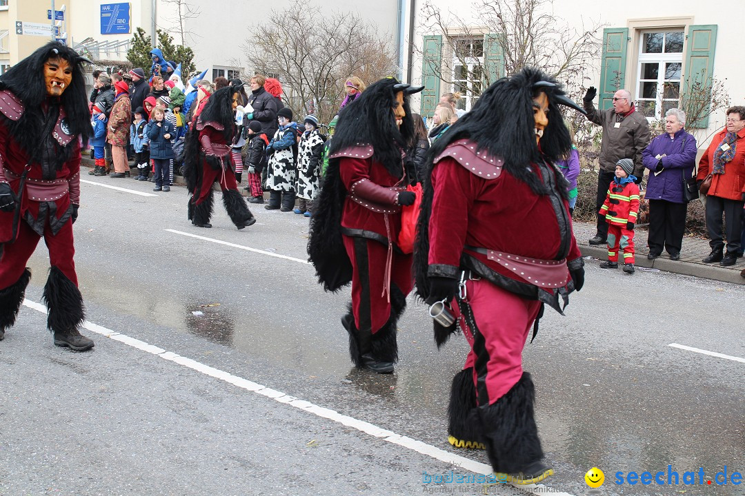 Rosenmontagsumzug: Gottmadingen am Bodensee, 11.02.2013