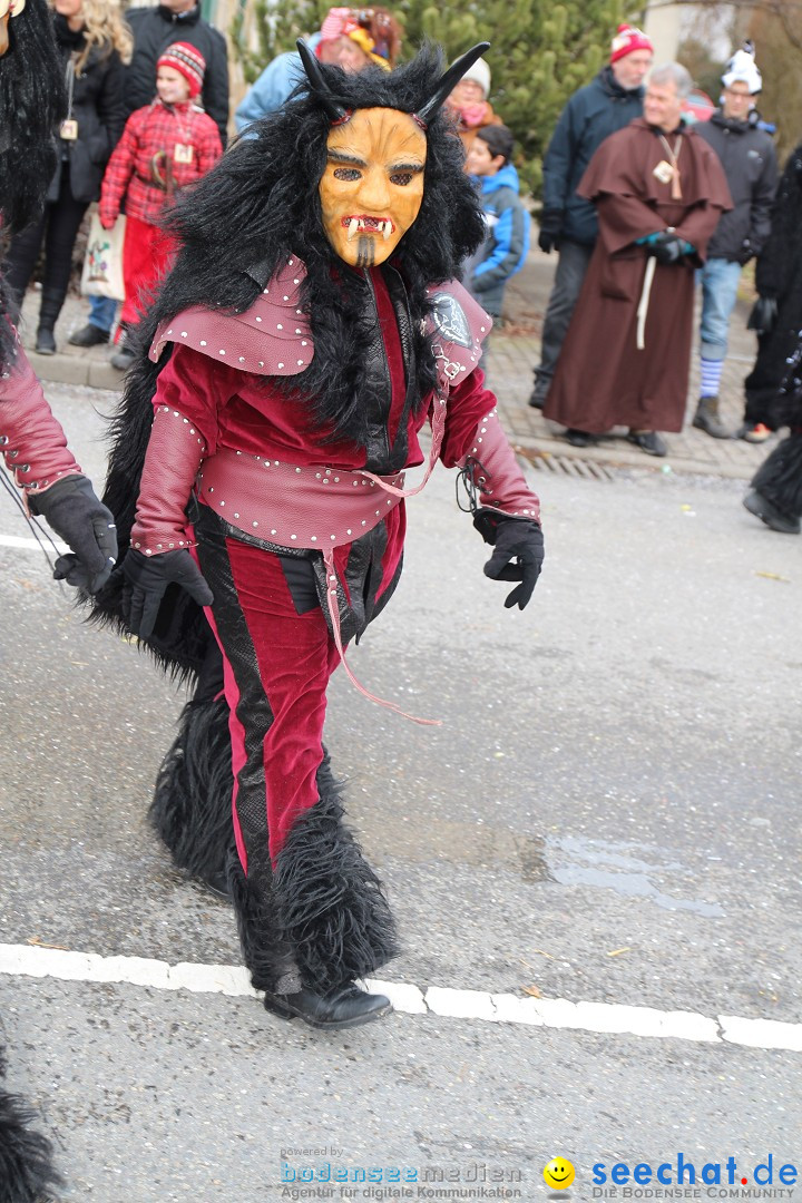 Rosenmontagsumzug: Gottmadingen am Bodensee, 11.02.2013