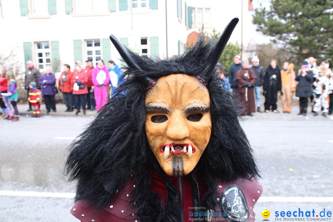 Rosenmontagsumzug: Gottmadingen am Bodensee, 11.02.2013