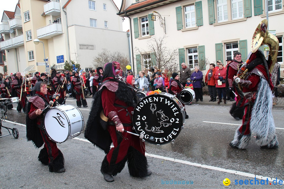 Rosenmontagsumzug: Gottmadingen am Bodensee, 11.02.2013