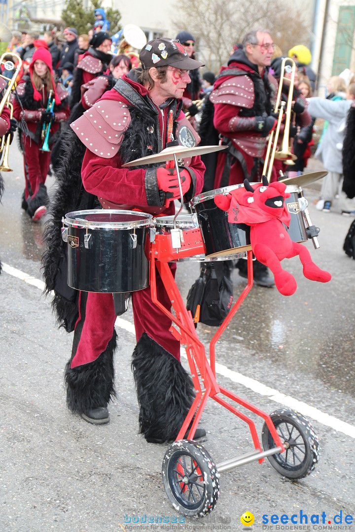 Rosenmontagsumzug: Gottmadingen am Bodensee, 11.02.2013