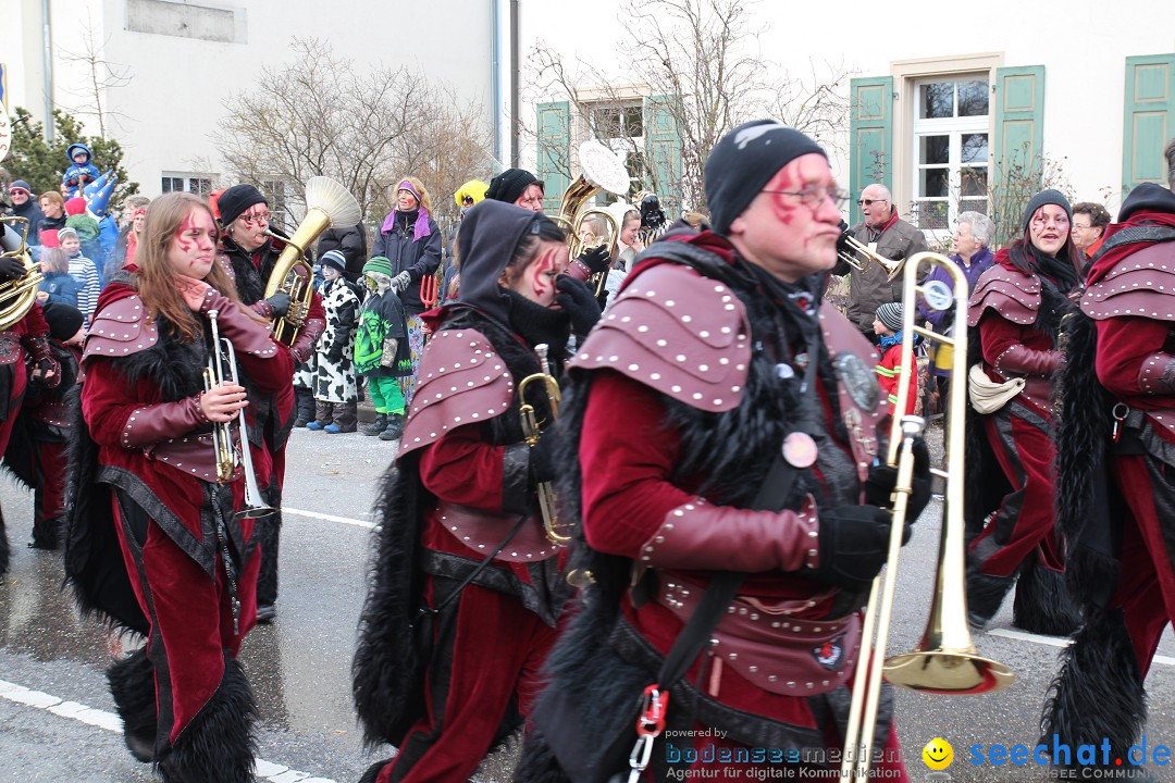 Rosenmontagsumzug: Gottmadingen am Bodensee, 11.02.2013