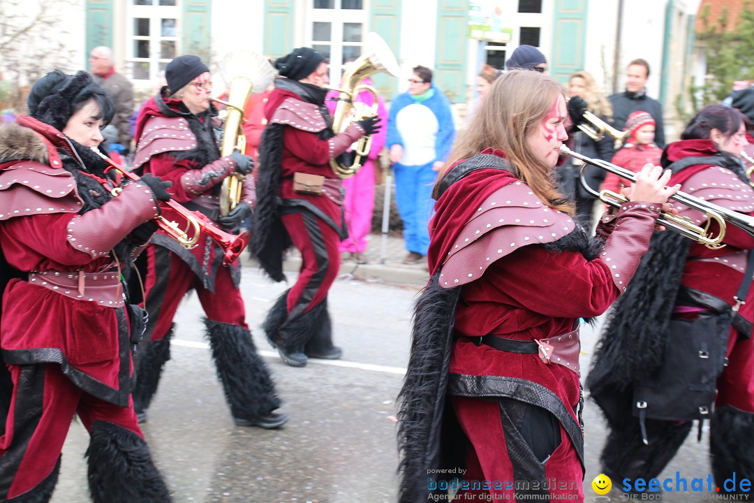 Rosenmontagsumzug: Gottmadingen am Bodensee, 11.02.2013