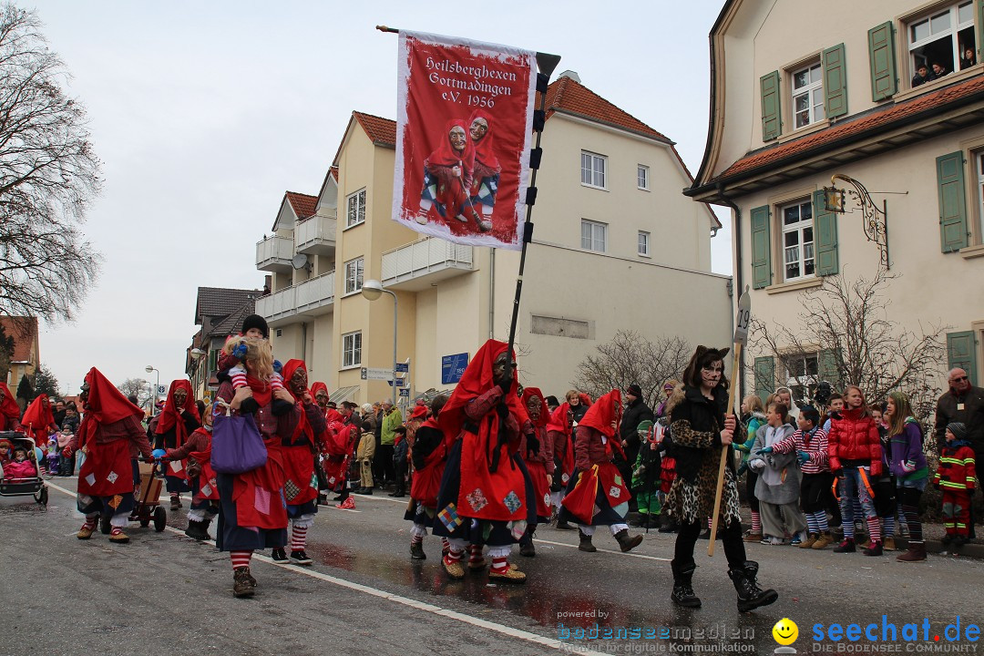 Rosenmontagsumzug: Gottmadingen am Bodensee, 11.02.2013