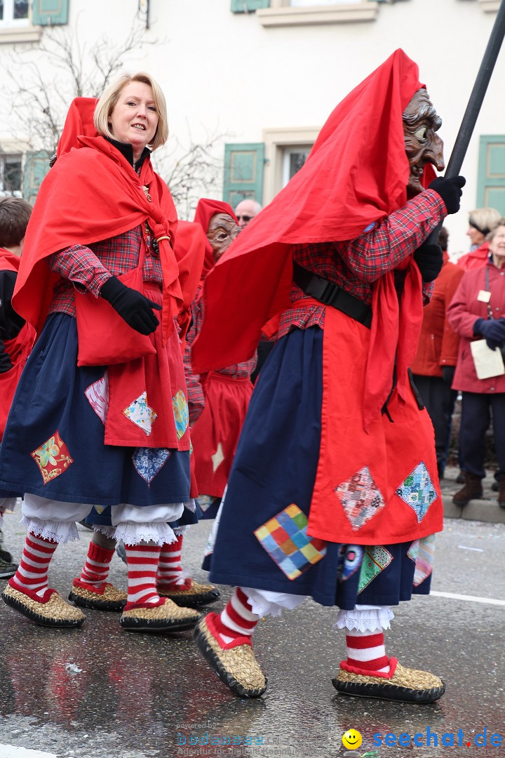 Rosenmontagsumzug: Gottmadingen am Bodensee, 11.02.2013