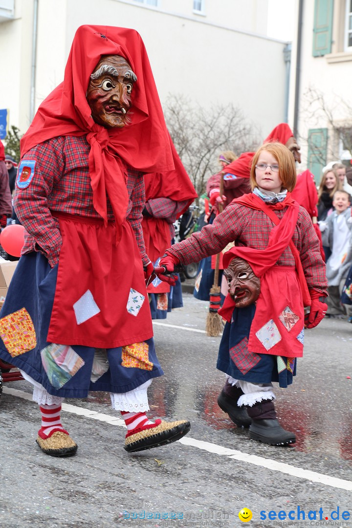 Rosenmontagsumzug: Gottmadingen am Bodensee, 11.02.2013