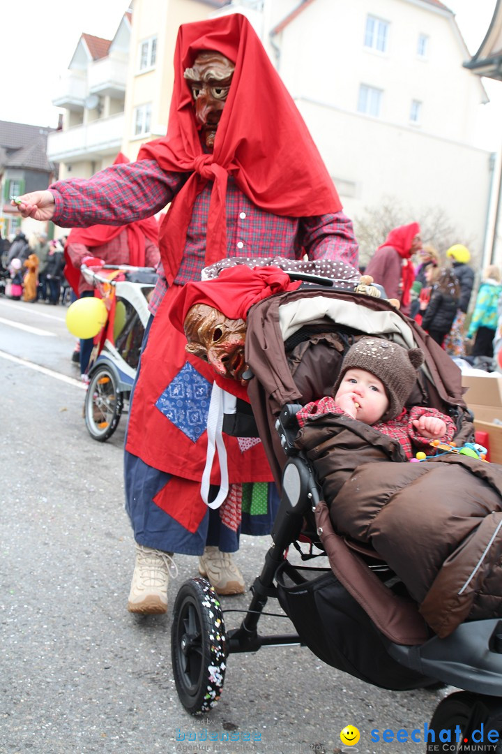 Rosenmontagsumzug: Gottmadingen am Bodensee, 11.02.2013