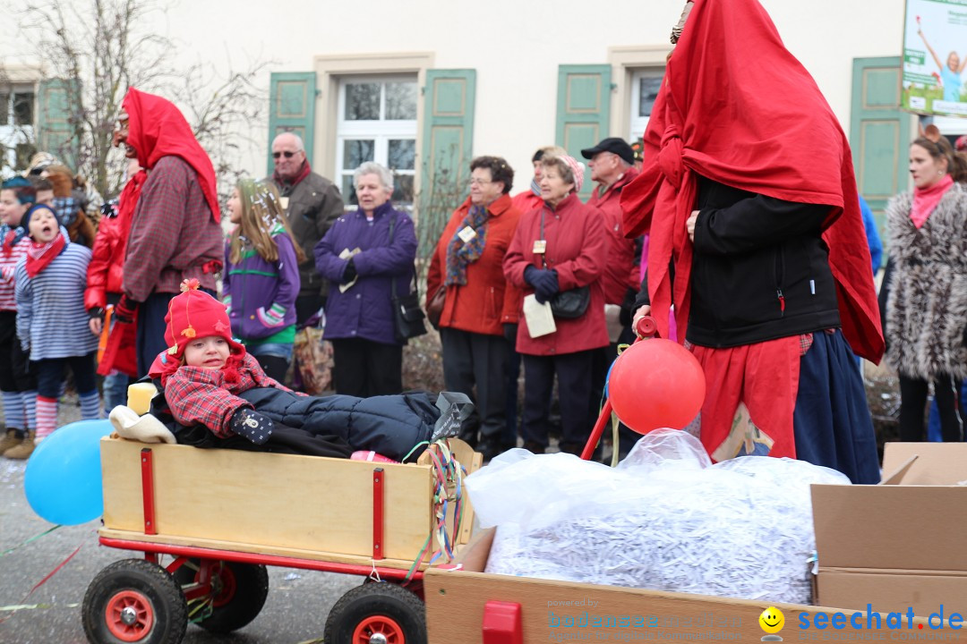 Rosenmontagsumzug: Gottmadingen am Bodensee, 11.02.2013