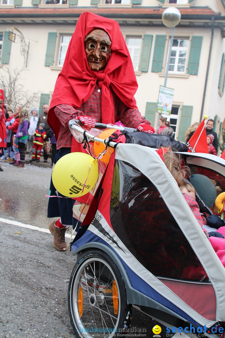 Rosenmontagsumzug: Gottmadingen am Bodensee, 11.02.2013