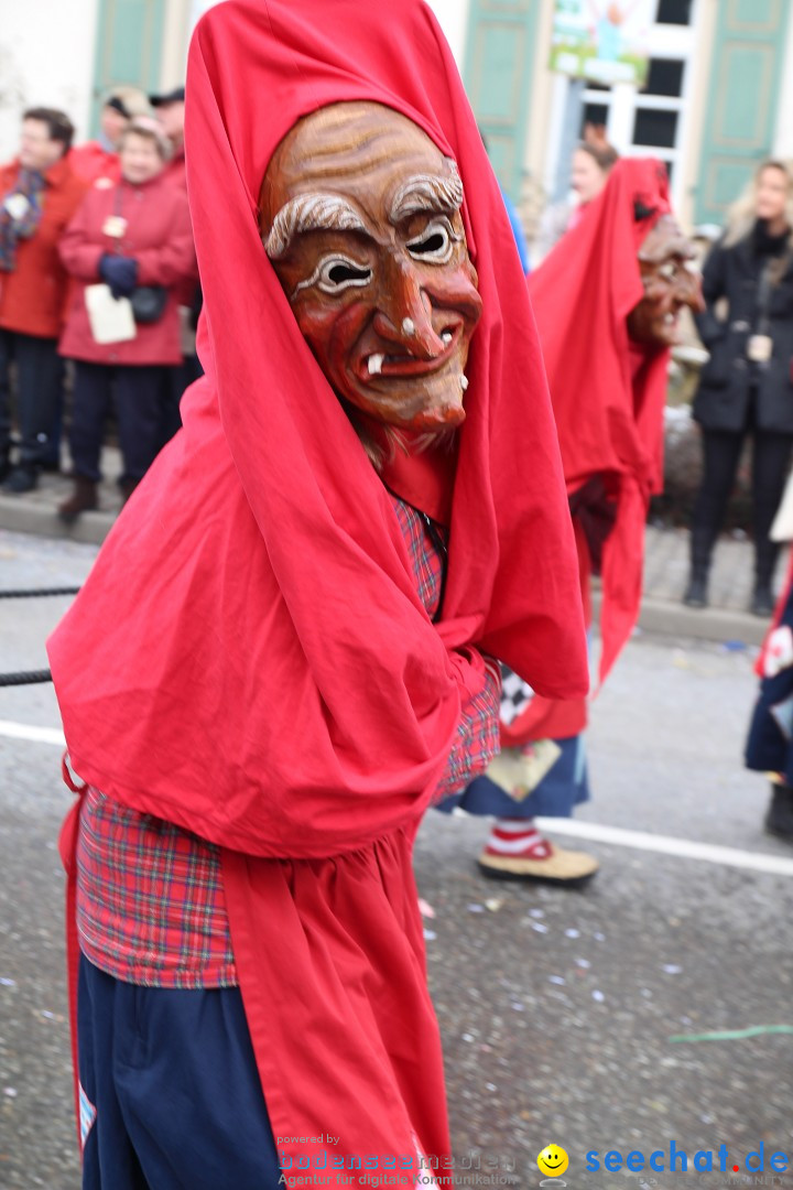 Rosenmontagsumzug: Gottmadingen am Bodensee, 11.02.2013